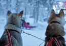 Yılbaşı Kuzey Işıkları Turu (Lapland)